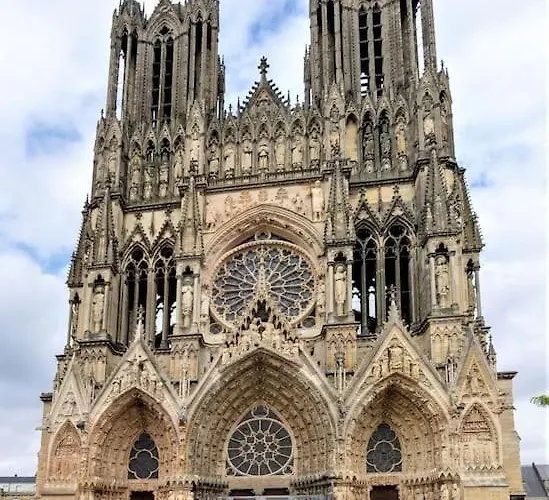 Appartement Les Palmettes Hypercentre *